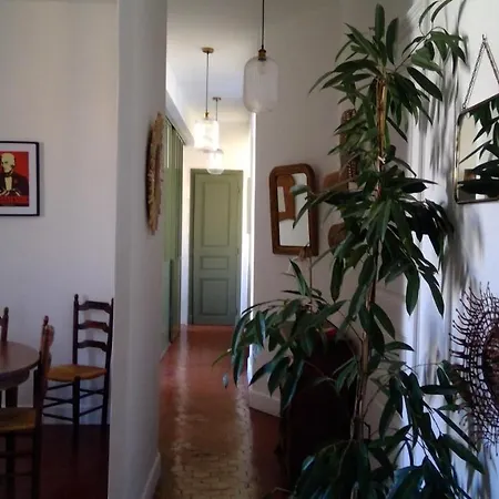 Clada/ Cote * Ajaccio (Corsica)